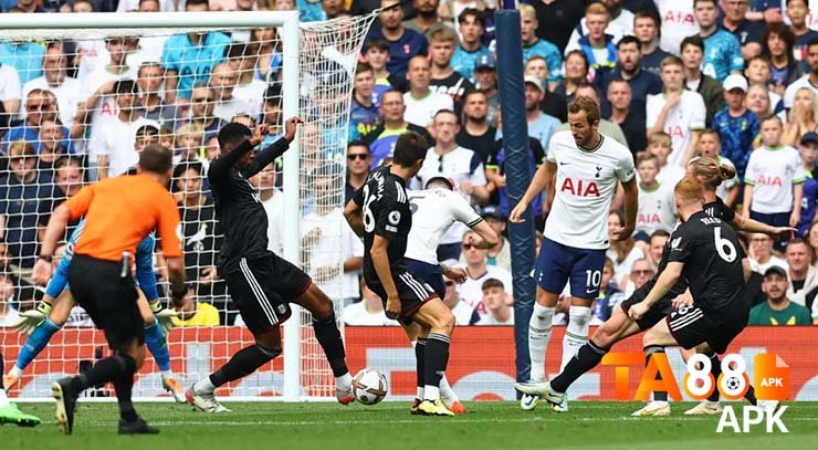 soi kèo tottenham
